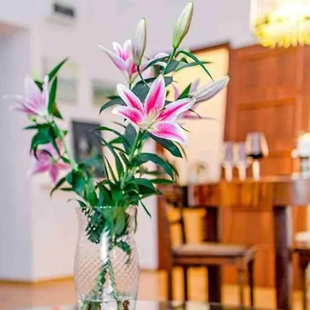 Apartment I Pokoje Nowy Swiat Warsaw
